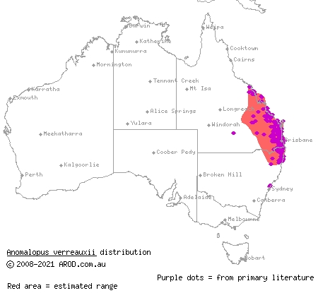 three-clawed worm-skink (Anomalopus verreauxii) distribution range map