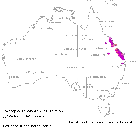diamond-shielded sunskink (Lampropholis adonis) distribution range map