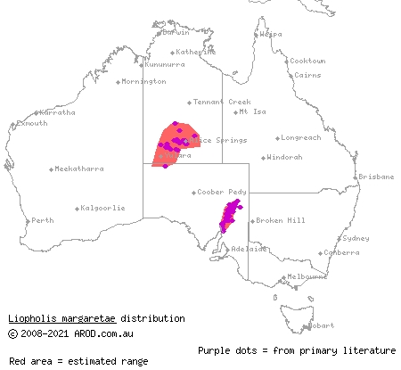 Centralian Ranges rock-skink (Liopholis margaretae) distribution range map