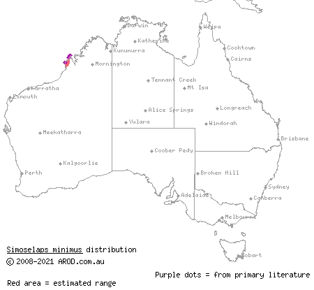 Dampierland burrowing snake (Simoselaps minimus) distribution range map