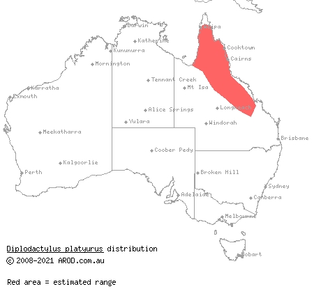 Eastern fat-tailed gecko (Diplodactylus platyurus) distribution range map