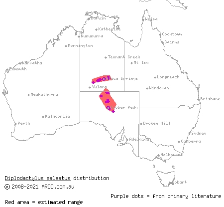 helmeted gecko (Diplodactylus galeatus) distribution range map