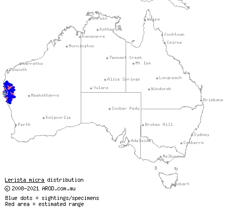 micro slider (Lerista micra) distribution range map