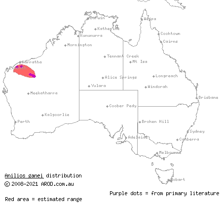 Gane's blind snake (Anilios ganei) distribution range map