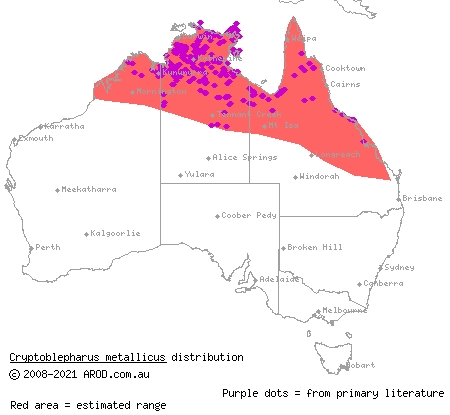 metallic snake-eyed skink (Cryptoblepharus metallicus) distribution range map