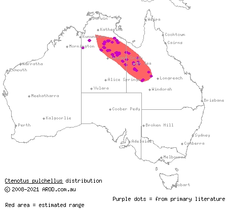 red-sided ctenotus (Ctenotus pulchellus) distribution range map