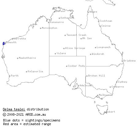 Teale's delma (Delma tealei) distribution range map