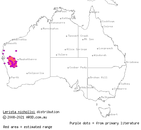 inland broad-blazed slider (Lerista nichollsi) distribution range map