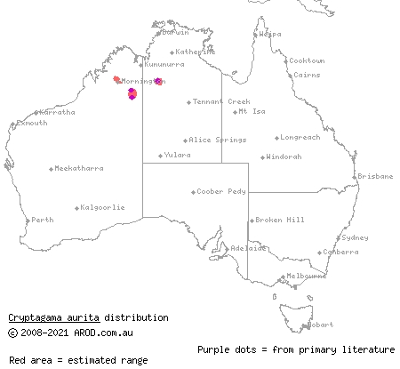 gravel dragon (Cryptagama aurita) distribution range map