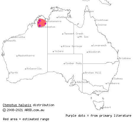 chained ctenotus (Ctenotus halysis) distribution range map
