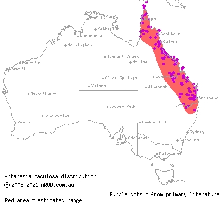 spotted python (Antaresia maculosa) distribution range map