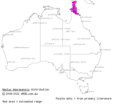 Eborac Island gecko (Nactus eboracensis) distribution range map