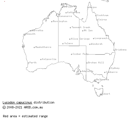 common wolf snake (Lycodon capucinus) distribution range map