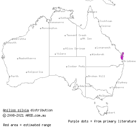 Cooloola blind snake (Ramphotyphlops silvia) distribution range map