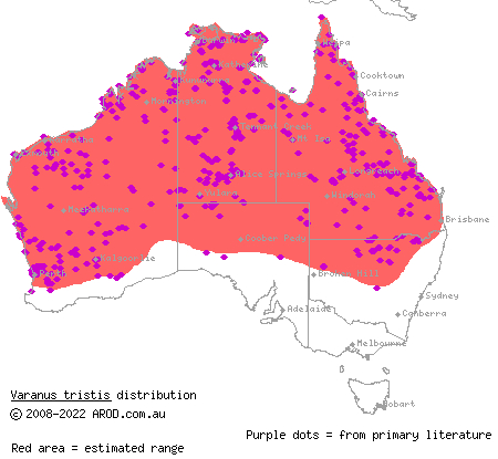 black-headed monitor (Varanus tristis) distribution range map