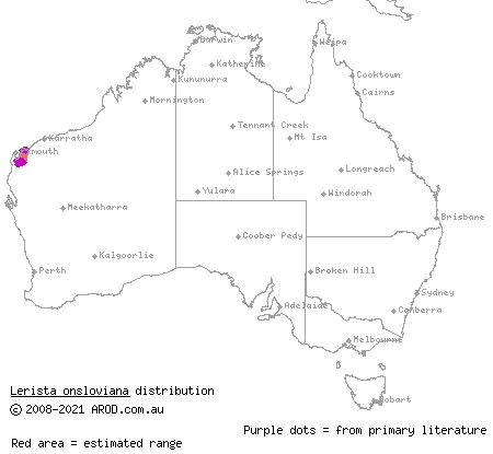 Onslow broad-blazed slider (Lerista onsloviana) distribution range map