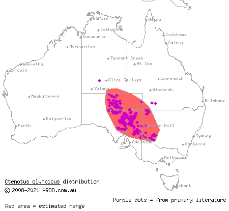 saltbush ctenotus (Ctenotus olympicus) distribution range map