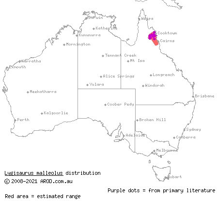 red-tailed litter-skink (Lygisaurus malleolus) distribution range map