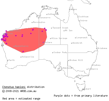 nimble ctenotus (Ctenotus hanloni) distribution range map