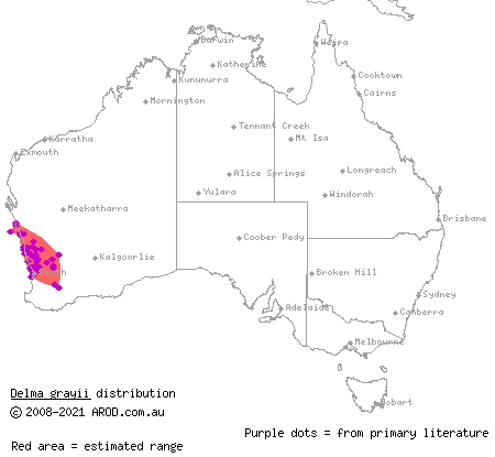 side-barred delma (Delma grayii) distribution range map