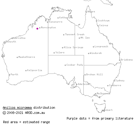 small-eyed blind snake (Anilios micromma) distribution range map