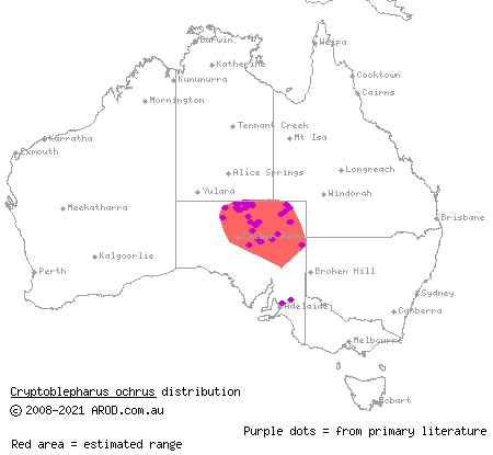 pale snake-eyed skink (Cryptoblepharus ochrus) distribution range map