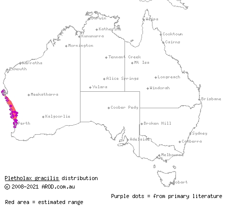 keeled legless lizard (Pletholax gracilis) distribution range map