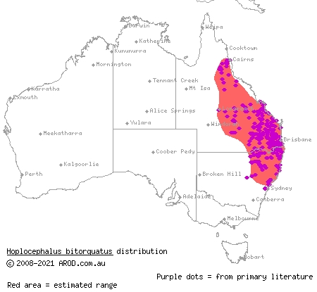 pale-headed snake (Hoplocephalus bitorquatus) distribution range map