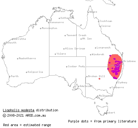 Eastern Ranges rock-skink (Liopholis modesta) distribution range map