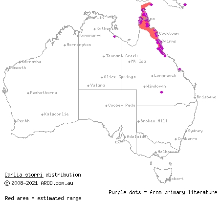 brown bicarinate rainbow-skink (Carlia storri) distribution range map