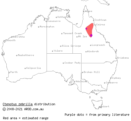 Southern Cape York finesnout ctenotus (Ctenotus zebrilla) distribution range map