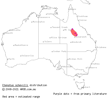 spotted black-soil ctenotus (Ctenotus schevilli) distribution range map