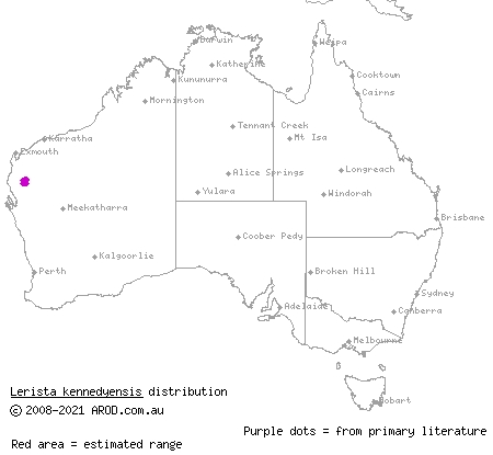 Kennedy Range broad-blazed slider (Lerista kennedyensis) distribution range map