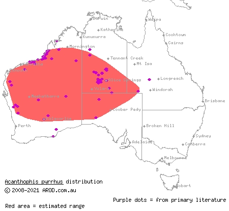 desert death adder (Acanthophis pyrrhus) distribution range map