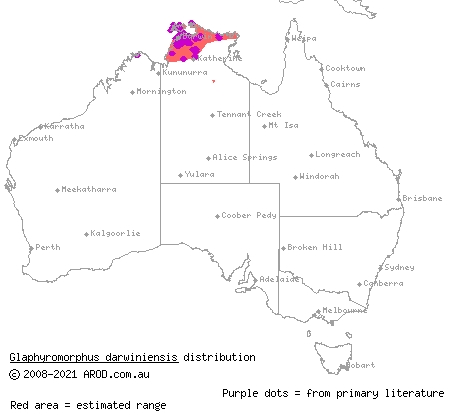 northern mulch-skink (Glaphyromorphus darwiniensis) distribution range map