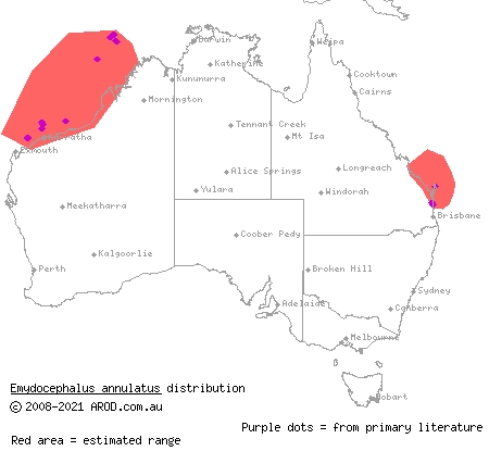 turtle-headed sea snake (Emydocephalus annulatus) distribution range map