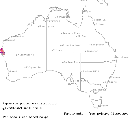 Shark Bay sea snake (Aipysurus pooleorum) distribution range map