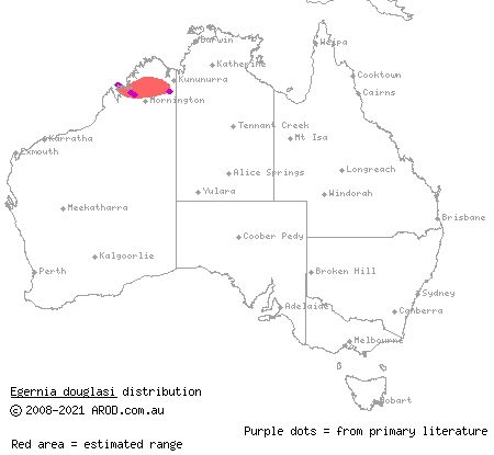 Kimberley crevice-skink (Egernia douglasi) distribution range map