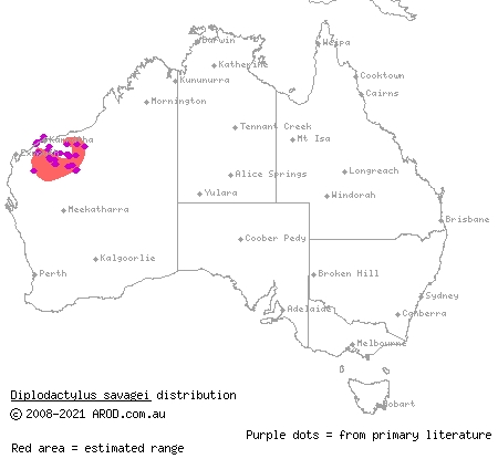 yellow-spotted Pilbara gecko (Diplodactylus savagei) distribution range map