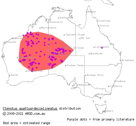 fourteen-lined ctenotus (Ctenotus quattuordecimlineatus) distribution range map