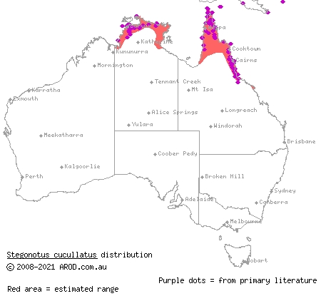 slaty-grey snake (Stegonotus cucullatus) distribution range map