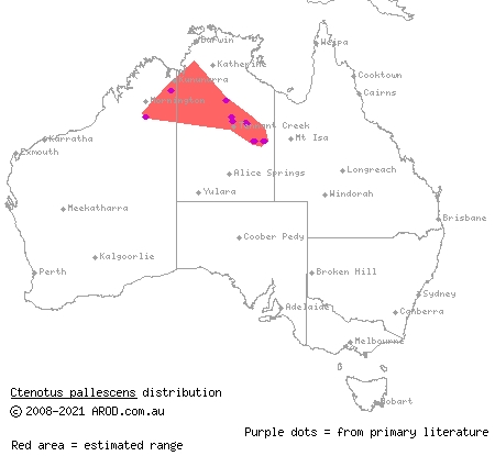 north-western wedgesnout ctenotus (Ctenotus pallescens) distribution range map