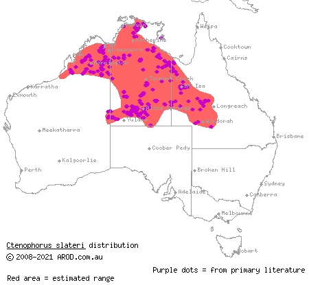 Slater's ring-tailed dragon (Ctenophorus slateri) distribution range map