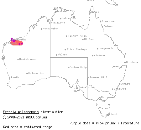 Pilbara crevice-skink (Egernia pilbarensis) distribution range map