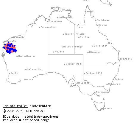 Rolfe's slider (Lerista rolfei) distribution range map