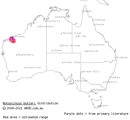 lined soil-crevice skink (Notoscincus butleri) distribution range map