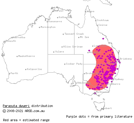 Dwyer's snake (Parasuta dwyeri) distribution range map