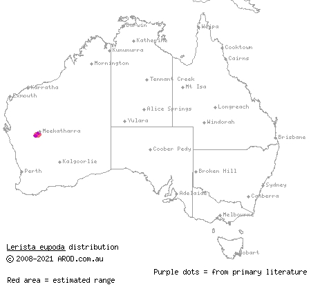 good-legged slider (Lerista eupoda) distribution range map