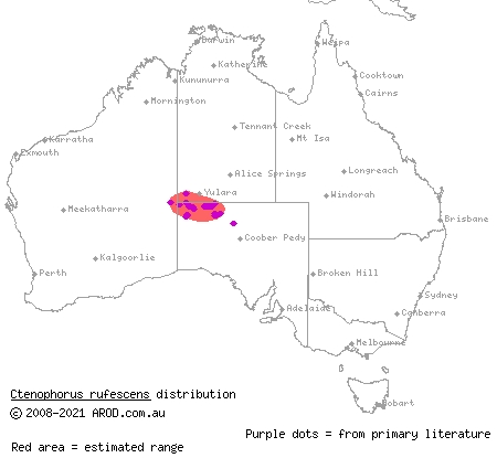 rusty dragon (Ctenophorus rufescens) distribution range map