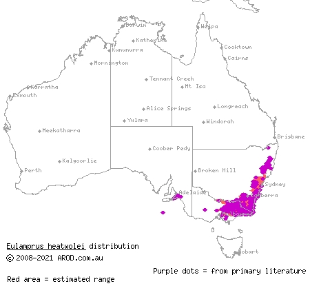 yellow-bellied water-skink (Eulamprus heatwolei) distribution range map